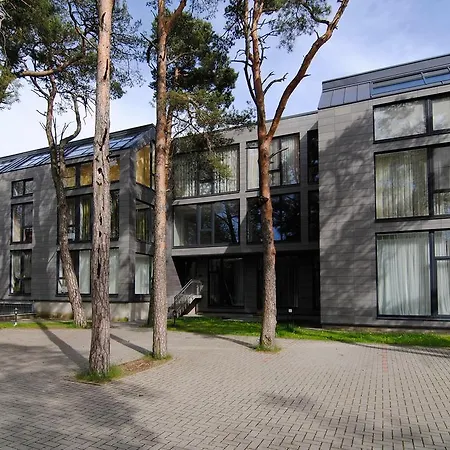 - Mickeviciaus 8 Apartment *