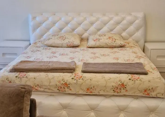 - Mickeviciaus 8 דירה